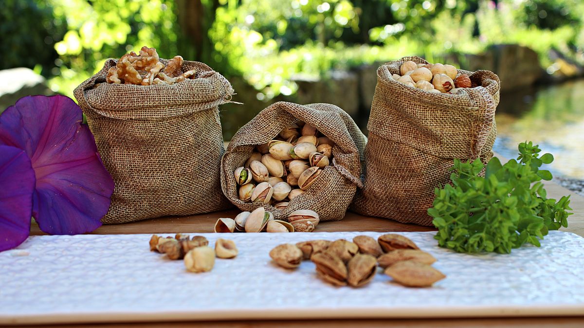 10 Kacang Paling Sehat untuk Tubuh: Panduan Lengkap Manfaat dan Nutrisi