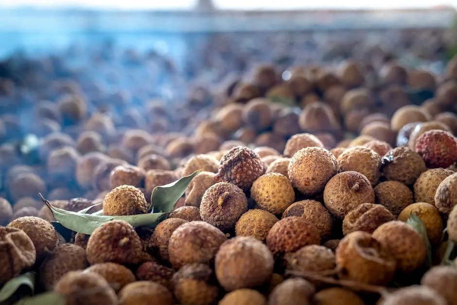 Longan Kering
